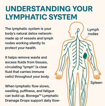 Zavora Lymphatic Herbal Drops